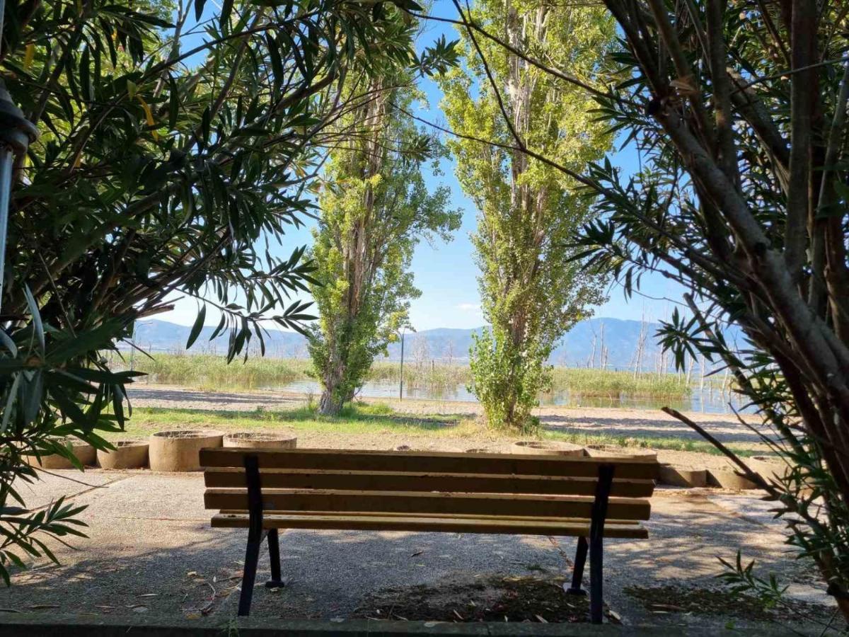 Fuk-Tak'S Bungalow Dojran Eksteriør billede