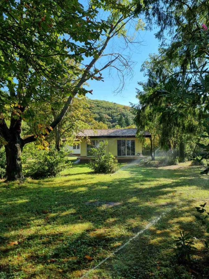 Fuk-Tak'S Bungalow Dojran Eksteriør billede