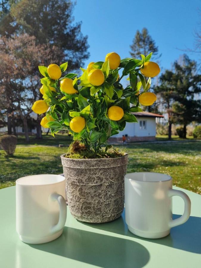 Fuk-Tak'S Bungalow Dojran Eksteriør billede